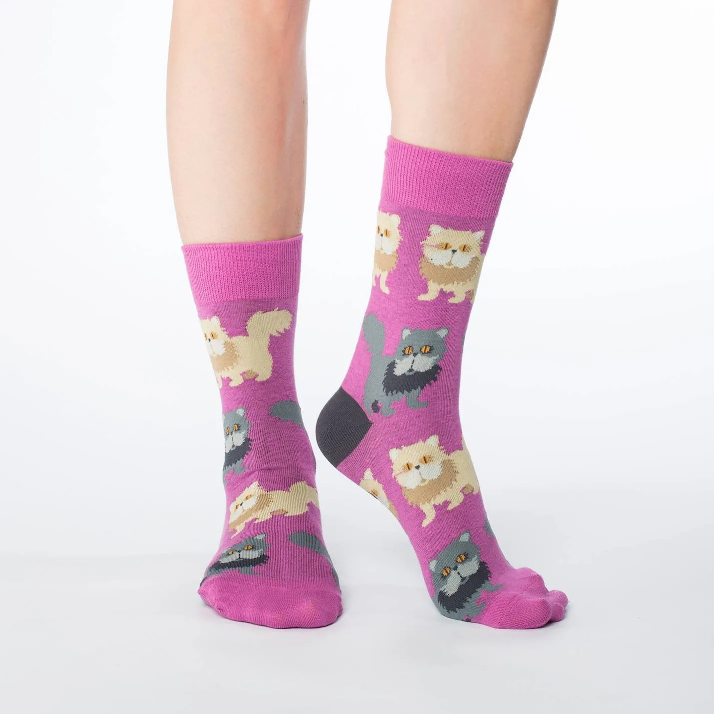 "Persian Cats" Cotton Crew Socks by Good Luck Sock - Medium